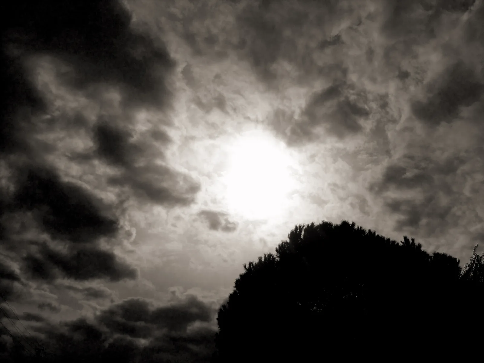 DSCN4434
